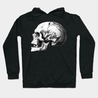 lateral skull Hoodie